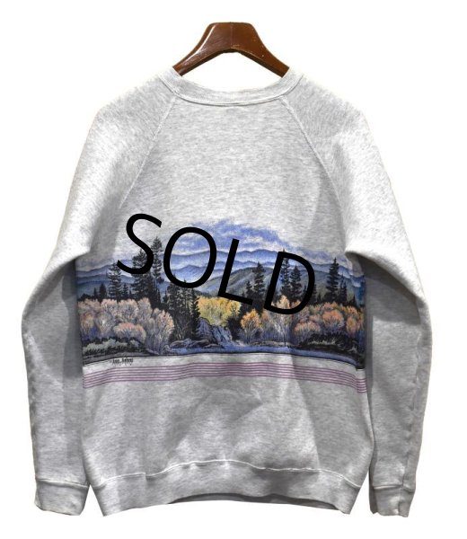 画像3: 【90s】【ビンテージ】【USA製】ヘインズ【hanes】グレー【VERMONT】【森プリント】【スウェット】【サイズＸＬ】  (3)