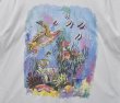 画像3: 90's USA製 ビンテージ【FRUIT OF THE LOOM 】フルーツオブザルーム【白】熱帯魚【 Tシャツ】【サイズXL】  (3)