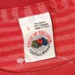 画像2: 90's【USA製】ビンテージ【フルーツオブザルーム】【赤ｘピンク】ボーダー【Ｔシャツ】【サイズL】  (2)