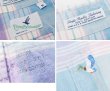 画像2: 【USA製】【Flying Scotsman】【薄水色×紫】【半袖シャツ】コットンシャツ【BDシャツ】【サイズM】  (2)