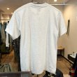 画像3: 90's【USA製】ビンテージ【SCREEN STARS】スクリーンスターズ シングルステッチ【D.A.R.E.】グレー【Tシャツ】【サイズL】  (3)