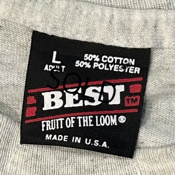 画像2: 90's【USA製】ビンテージ【SCREEN STARS】スクリーンスターズ シングルステッチ【D.A.R.E.】グレー【Tシャツ】【サイズL】  (2)