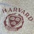 画像2: ビンテージ【HARVARD】ハーバード 染込みプリント【霜降りグレー】【カレッジロゴスウェット】【サイズＭ程度】  (2)