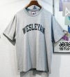 画像1: ビンテージ チャンピオン【WESLEYAN】カレッジロゴ グレー【Ｔシャツ】【サイズL】  (1)