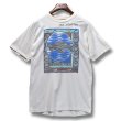 画像3: 【USA製】【ビンテージ】【Dt.Maarten】【オフホワイト】【亀プリント】【Tシャツ】【サイズL】  (3)
