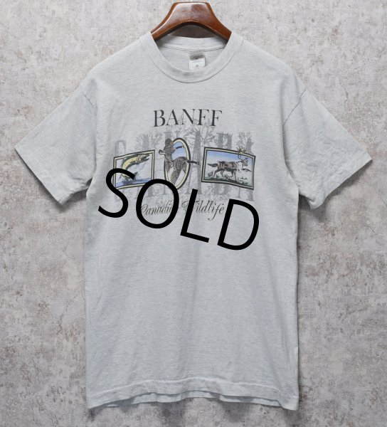 画像1: ビンテージ【FRUIT OF THE LOOM】【フルーツオブザルーム】【BANFF cnadian wildlife】ライトグレー【 Tシャツ】【サイズL】  (1)