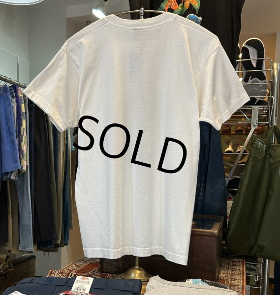 画像3: 90's【USA製】 ビンテージ【FRUIT OF THE LOOM 】フルーツオブザルーム シングルステッチ【Delta Zeta Alpha】【 Tシャツ】【サイズL】  (3)