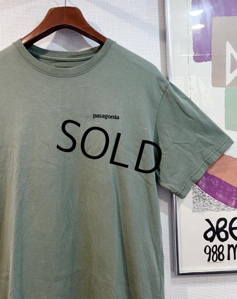 画像1: ビンテージ【パタゴニア】patagonia【緑】【バックプリント】ロゴ入り 【Tシャツ】【サイズM】  (1)