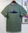 画像4: ビンテージ【パタゴニア】patagonia【緑】【バックプリント】ロゴ入り 【Tシャツ】【サイズM】  (4)