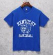 画像1: 80’s【USA製】ビンテージ【スクリーンスターズ】【KENTUCKY BASKET BALL】【虎】【青】Tシャツ【M程度】  (1)