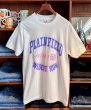 画像1: 【デッドストック】90's【USA製】 ビンテージ【FRUIT OF THE LOOM 】フルーツオブザルーム【PLAIN FIELD WILD CAT RUN】【白】【 Tシャツ】【サイズL】  (1)