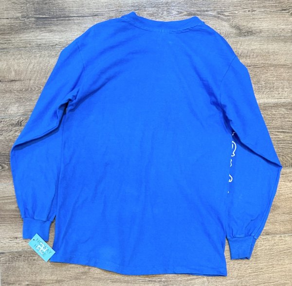 画像3: 【〜80'ｓ】USA製【ビンテージ】【Hanes】ヘインズ【Ｍount Snow】【スキー】青【ロンT】【サイズＭ】  (3)
