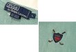 画像2: 90’s【ビンテージ】【ラルフローレン】【コバルトグリーン】【スウェット】【サイズL】  (2)
