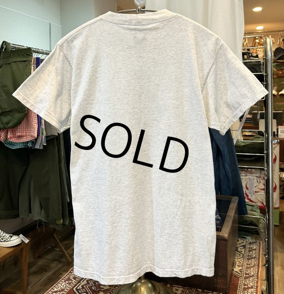 画像3: 90's〜 ビンテージ【SANSEGAL】【アラスカ】自然と動物プリント【グレー】【Ｔシャツ】【サイズM】  (3)