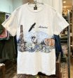 画像1: 90's〜 ビンテージ【SANSEGAL】【アラスカ】自然と動物プリント【グレー】【Tシャツ】【サイズM】  (1)