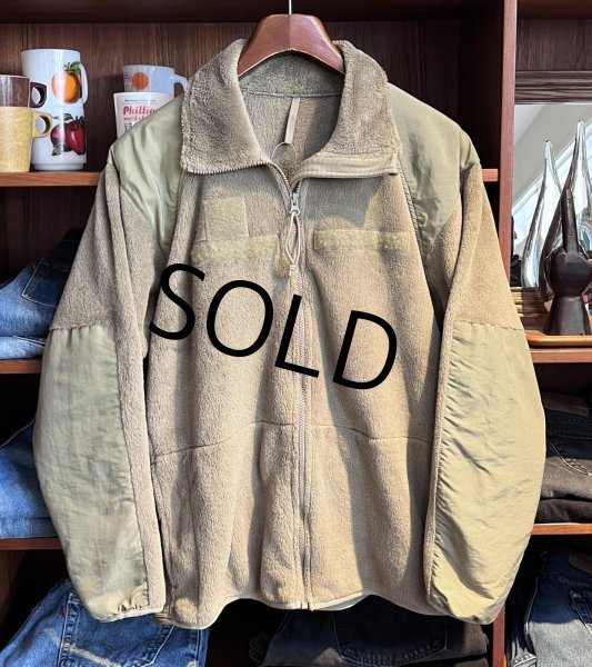 画像1: 訳アリ ビンテージ【米軍実物】U.S.ARMY【ECWCS】GEN3【Polartec】【ポーラテック】【コヨーテ】タンカラー【フリースジャケット】【M-R】  (1)