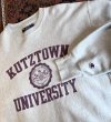 画像3: 【ビンテージ】【Champion】【チャンピオン】【KUTZ TOWN UNIVERSITY】クッツタウン大学【グレー】カレッジ【スウェット】【サイズL】  (3)