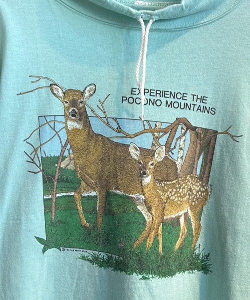 画像2: 90's〜【EXPERIENCE THE POCOND MOUNTAINS】ポコノマウンテン【ライムグリーン】【鹿】ハイネック【半袖Tシャツ】【サイズＬ程度】  (2)