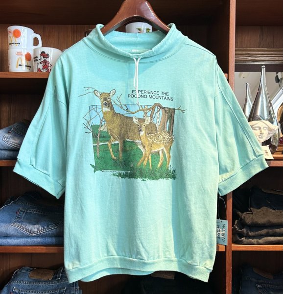 画像1: 90's〜【EXPERIENCE THE POCOND MOUNTAINS】ポコノマウンテン【ライムグリーン】【鹿】ハイネック【半袖Tシャツ】【サイズＬ程度】  (1)