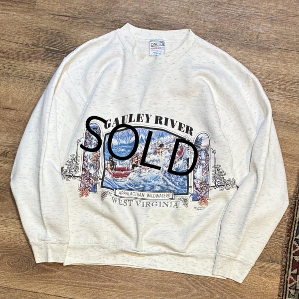 画像1: 90's【USA製】ビンテージ【ONEITA】【オニータ】【ウエストバージニア】 ゴーリーリバー【GAULEY RIVER】 バックプリント付き  グレー【スウェット】L   (1)