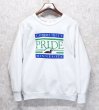 画像1: 90’s~【USA製】ビンテージ【Healthknit】ヘルスニット【community PRIDE minnesota】【白】【プリントスウェット】【サイズL】  (1)