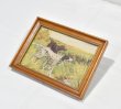画像3: 【ビンテージ】アンティーク【イングリッシュセッター×アイリッシュセッター】フレーム付き【絵画】【雑貨】置物  (3)