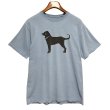 画像1: 【ビンテージ】【The Black Dog】ブラックドッグ【青】【犬プリント】【Tシャツ】【サイズS】  (1)