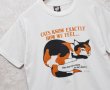 画像1: 90's【USA製】ビンテージ【SCREEN STARS】スクリーンスターズ【白】【cats know exactly~】猫プリント【Tシャツ】【サイズL】  (1)