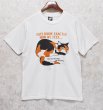 画像2: 90's【USA製】ビンテージ【SCREEN STARS】スクリーンスターズ【白】【cats know exactly~】猫プリント【Tシャツ】【サイズL】  (2)