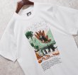 画像1: 90's【USA製】ビンテージ【SCREEN STARS】【白】【ステゴサウルス】恐竜【Tシャツ】【サイズL】  (1)
