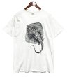 画像1: ビンテージ【GILDAN】【ギルダン】エイ【STINGRAY CITY】【白】【Tシャツ】【サイズL程度】  (1)