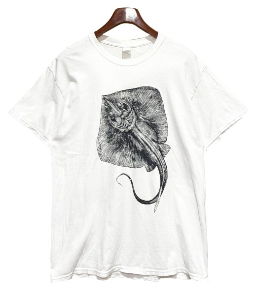 画像1: ビンテージ【GILDAN】【ギルダン】エイ【STINGRAY CITY】【白】【Tシャツ】【サイズL程度】  (1)