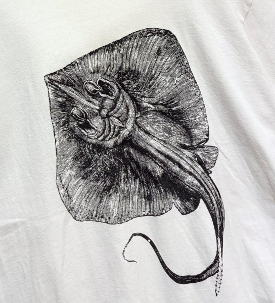 画像3: ビンテージ【GILDAN】【ギルダン】エイ【STINGRAY CITY】【白】【Tシャツ】【サイズL程度】  (3)