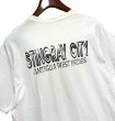 画像5: ビンテージ【GILDAN】【ギルダン】エイ【STINGRAY CITY】【白】【Tシャツ】【サイズL程度】  (5)