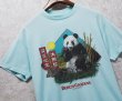 画像1: ~90's【USA製】 ビンテージ Tee Jays【BUSCH GARDENS】 ブッシュ・ガーデンズ【ターコイズ】パンダ【 Tシャツ】イラスト【サイズL】  (1)