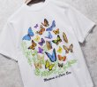 画像2: 【ビンテージ】【JIB】【Mariposas de Costa Rica】蝶【白】プリント【Tシャツ】【サイズS】  (2)
