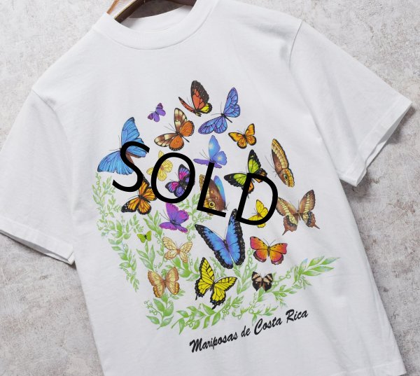 画像2: 【ビンテージ】【JIB】【Mariposas de Costa Rica】蝶【白】プリント【Tシャツ】【サイズS】  (2)