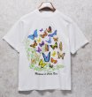 画像1: 【ビンテージ】【JIB】【Mariposas de Costa Rica】蝶【白】プリント【Tシャツ】【サイズS】  (1)