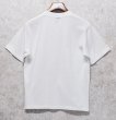 画像4: 【ビンテージ】【JIB】【Mariposas de Costa Rica】蝶【白】プリント【Tシャツ】【サイズS】  (4)