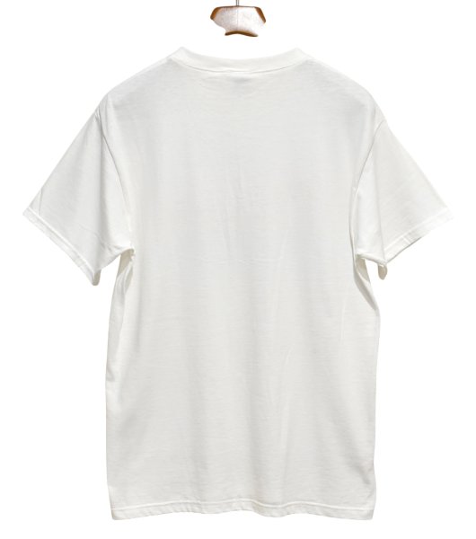 画像4: 00's【ビンテージ】【FRUIT OF THE LOOM 】フルーツオブザルーム【WHAT PART OF MEOW】猫 プリント【 Tシャツ】ネコ【サイズM】  (4)