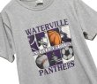 画像1: 【90's】【USA製】ビンテージ【Kellsport】【WATERVILLE ATHLETICS PANTHERS】【スポーツアイコンプリントTシャツ】【L】 (1)