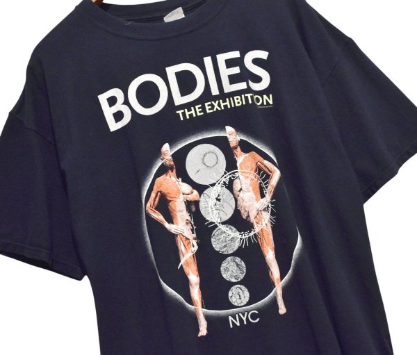 画像1: ビンテージ【00's】【ANVIL】アンビル【BODIES THE EXHIBITION】【人体標本プリントTシャツ】【2XL】 (1)