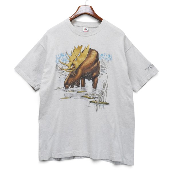 画像3: 【90’s】【ビンテージ】【USA製】【FRUIT OF THE LOOM】フルーツオブザルーム【ヘラジカ】【プリントTシャツ】シングルステッチ【サイズXL】 (3)