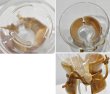 画像2: 【USA製】ビンテージ【ケメックス】【CHEMEX】【6カップ】雑貨【コーヒーメーカー】  (2)